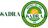 صدرا گستر